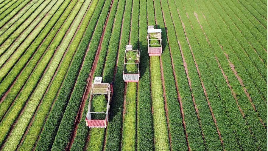 Agriculture moderne et développement agro-industriel en Afrique